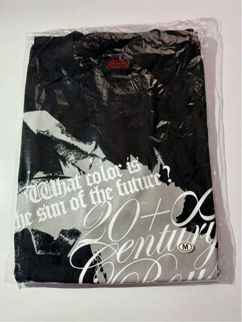 広瀬姉妹写真展 限定Tシャツ Mサイズ 広瀬姉妹写真展 限定Tシャツ Mサイズ 着丈73cm 身幅50cm 袖丈17.5cm